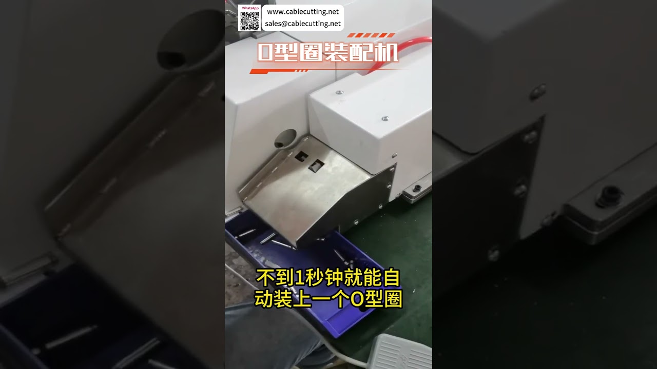 Smart O Ring Assembly Machine High Efficiency Automatic Sealing Ring Production Equipment Line - Shorts